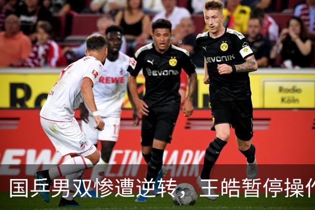 国乒男双惨遭逆转，王皓暂停操作引发质疑